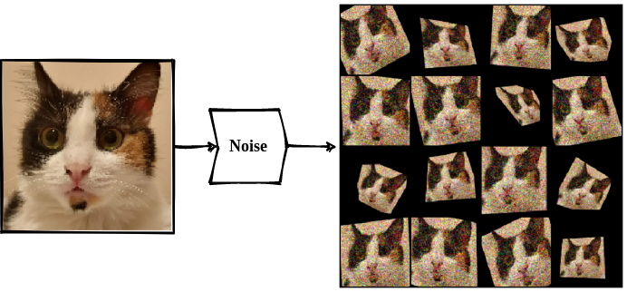 Augmented kit-cat